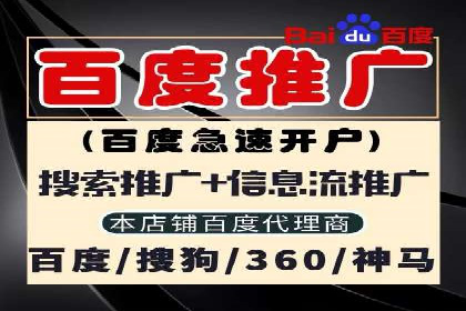成功案例揭秘：百度竞价账户托管的运营之道